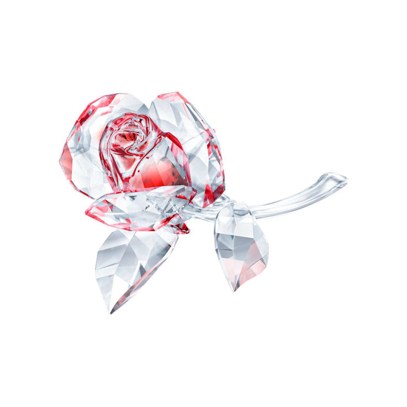 Bocciolo di Rosa, Rosso