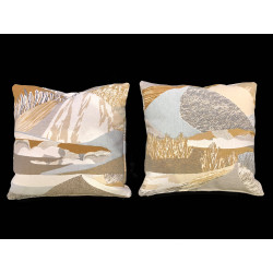 Coppia cuscini
