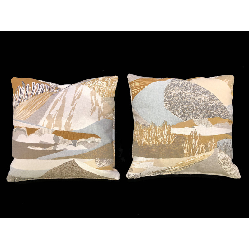 Coppia cuscini