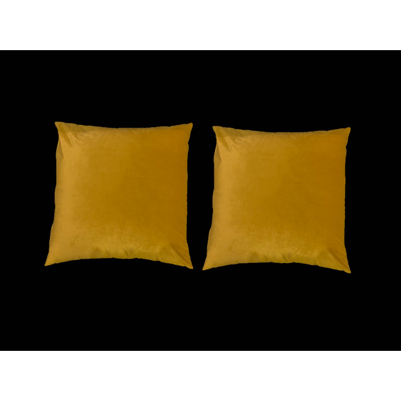 Coppia cuscini