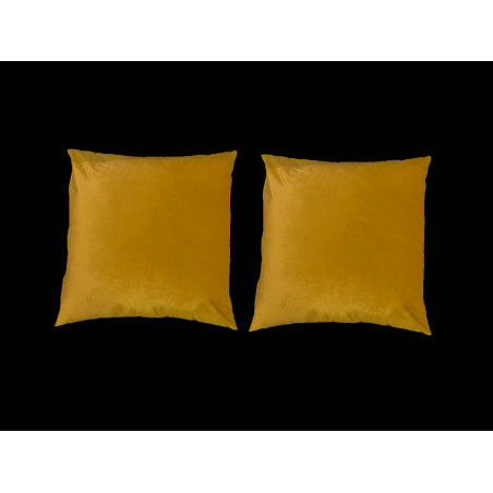 Coppia cuscini