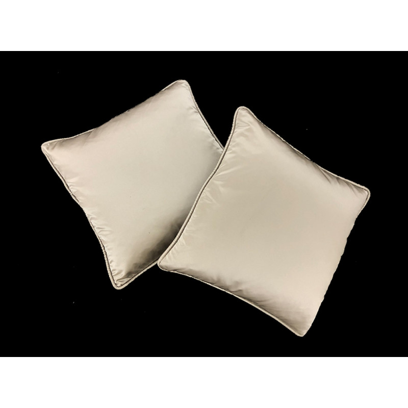 Coppia cuscini