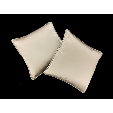 Coppia cuscini