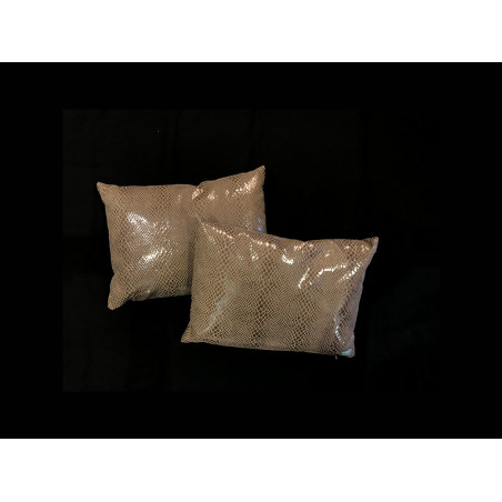 Coppia cuscini