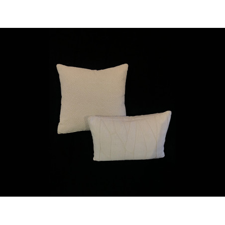 Coppia cuscini