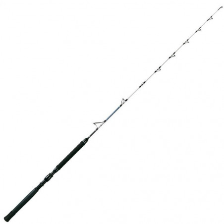 Canna Windrose Titanium...