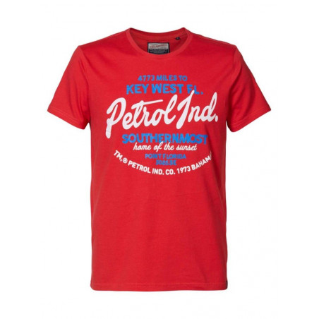 T-shirt Uomo Artwork Logo