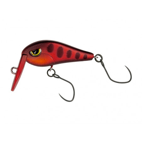 Esca Artificiale Tournament...