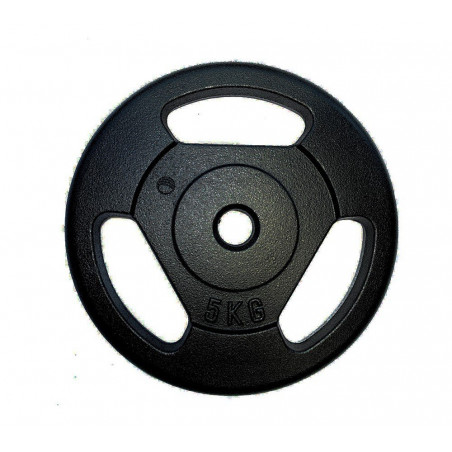 Disco in ghisa palestra 5 kg