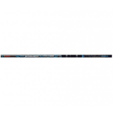 Canna Bolognese Scogliera...