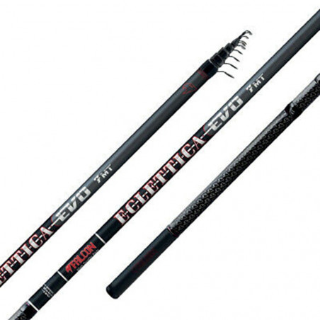 Canna Pesca Eclettica Evo 7 m