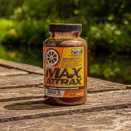 Attrattore Max Attract...