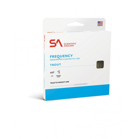 Code e Backing Frequency DT