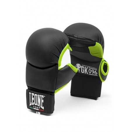 Guanti FitBoxe e Karate