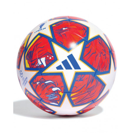 Pallone Allenamento UCL 24