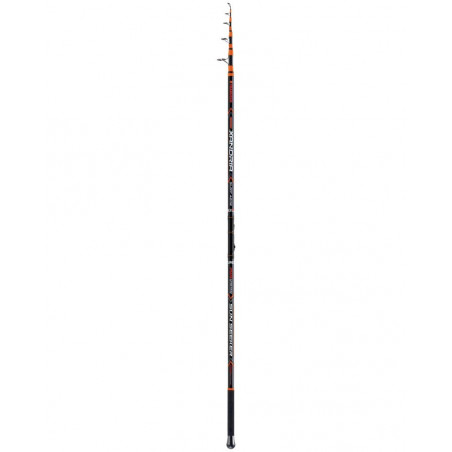 Canna Xandria Sun Seeker