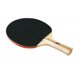 Racchetta ping-pong Training 2 Stelle