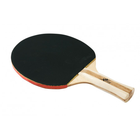 Racchetta ping-pong...