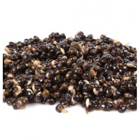 Secchiello Granaglie Canapa...