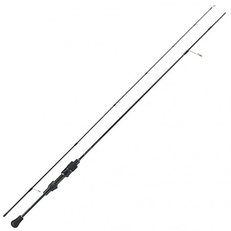 Canna Fioretto Essence Area...