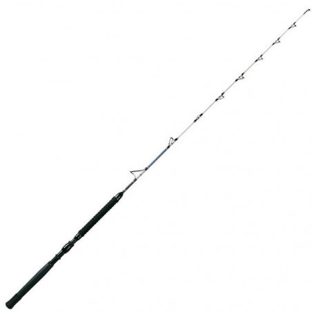 Canna Windrose Titanium...