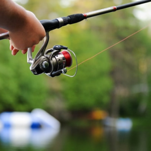 Pesca