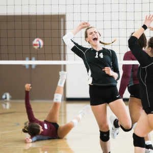 Volley