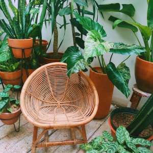 Balcone e giardino